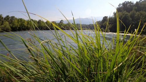 有关多风,天性,山的免费素材视频