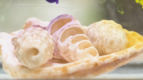 有关涂料,墨水,抽象的免费素材视频