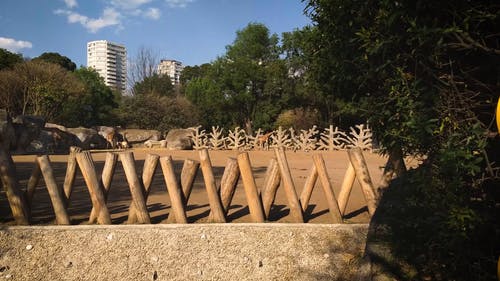 有关公园, 公寓建筑, 动物园的免费素材视频