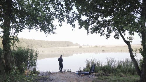 有关人, 天性, 平静的免费素材视频