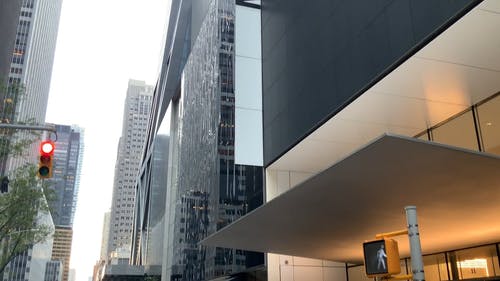 有关moma, 博物馆, 城市的免费素材视频