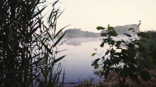 有关天性, 工厂, 户外的免费素材视频