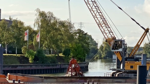 有关工作的,树木,机械的免费素材视频