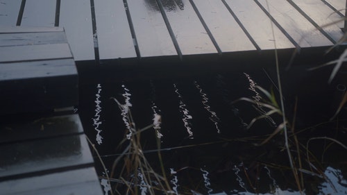 有关木桥,水,水反射的免费素材视频