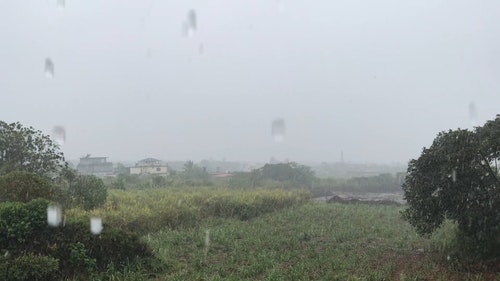 有关倾注,树木,绿色的田野的免费素材视频