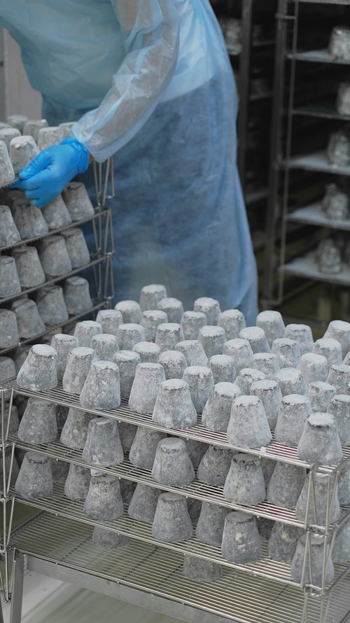 有关乳胶手套,乳酪,垂直视频的免费素材视频