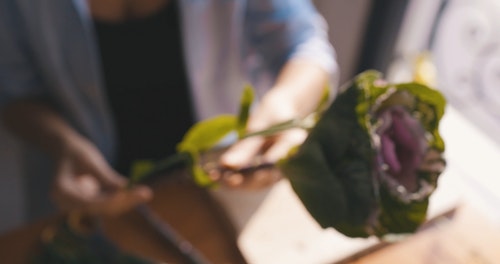 有关女人,女性,工厂的免费素材视频