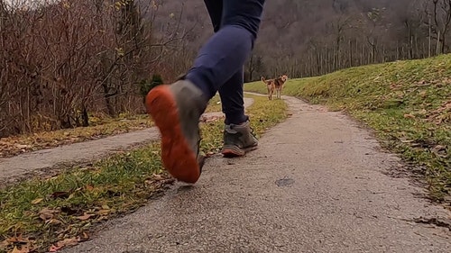 有关人,从后面,女人的免费素材视频