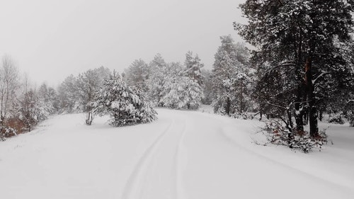 有关下雪,冬季,大雪覆盖的免费素材视频