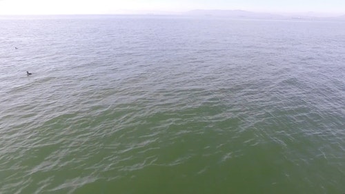 有关天性,性质,户外的免费素材视频