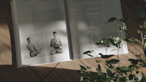 有关室内植物,打开的书,木制表面的免费素材视频