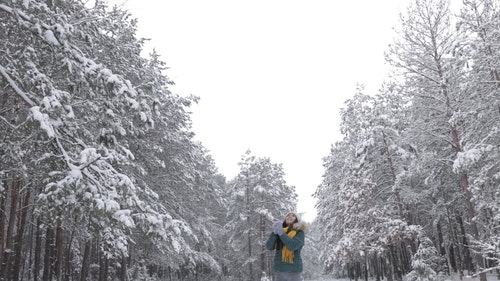 有关下雪,下雪的,似雪的免费素材视频