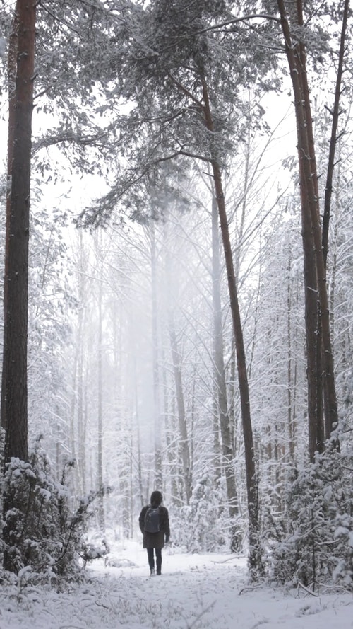 有关下雪的,人,似雪的免费素材视频