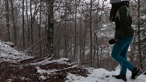 有关下雪,冒险,冬季的免费素材视频