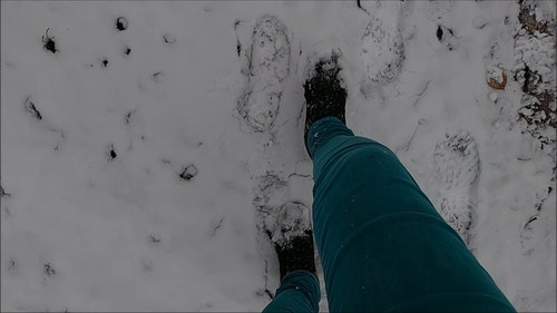 有关下雪的天气,冬季,冷的免费素材视频