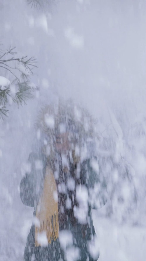 有关下雪的,享受,人的免费素材视频