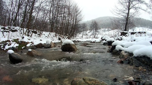 有关下雪,下雪的,似雪的免费素材视频