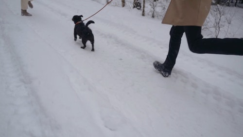 有关一对,下雪,享受的免费素材视频