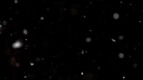 有关下雪的, 冬季, 冷的免费素材视频