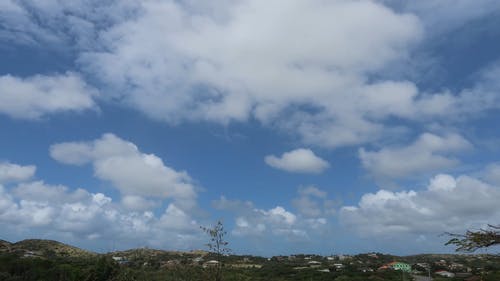 有关低角度拍摄, 天性, 天空的免费素材视频