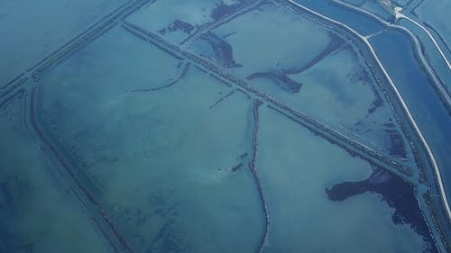 有关倾斜射击, 农村, 天性的免费素材视频