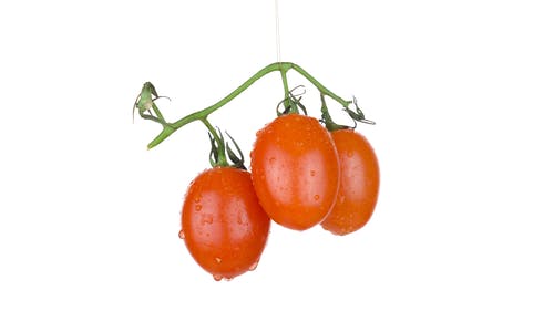 有关一串, 全景, 固定镜头的免费素材视频