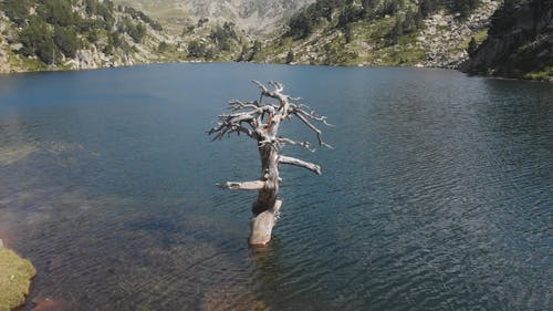 有关原本, 夏天, 天性的免费素材视频