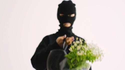 有关匿名, 和平抗议, 巴拉克拉瓦的免费素材视频