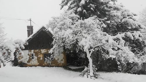 有关下雪, 冬季, 冰的免费素材视频