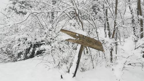 有关下雪, 冬季, 冬季景观的免费素材视频