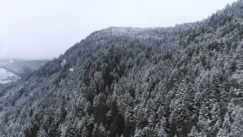 有关下雪, 下雪的, 下雪的天气的免费素材视频