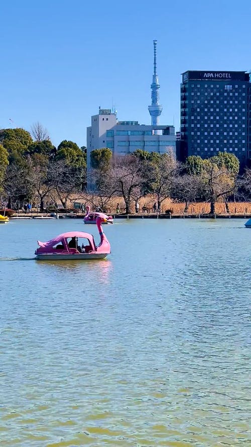 有关上野公园, 休闲, 划桨的免费素材视频