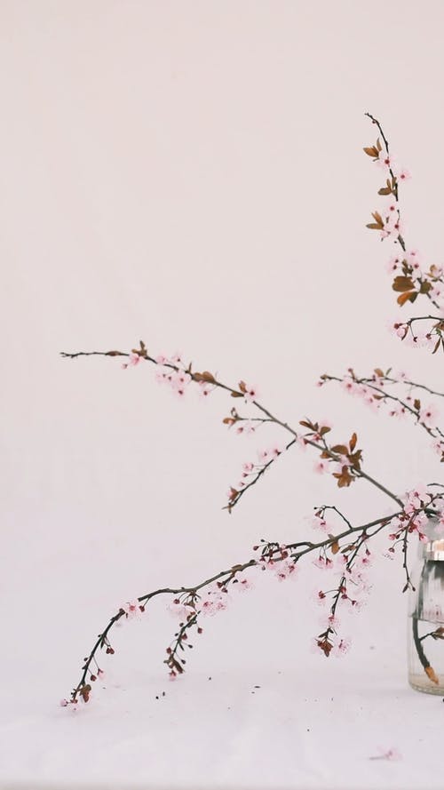 有关发抖, 垂直视频, 室内的免费素材视频