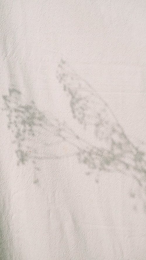 有关光, 垂直视频, 审美的免费素材视频