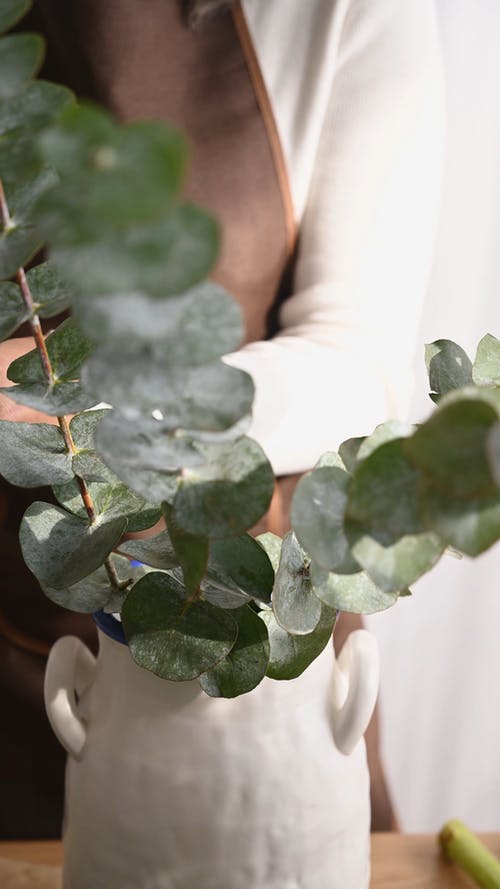 有关不露面, 创作的, 嗜好的免费素材视频