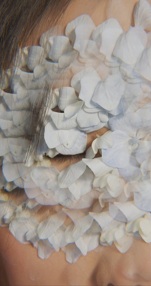 有关出现, 创作的, 反射的免费素材视频