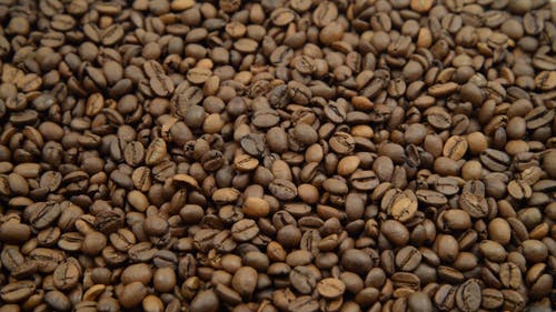 有关口味, 咖啡, 咖啡因的免费素材视频