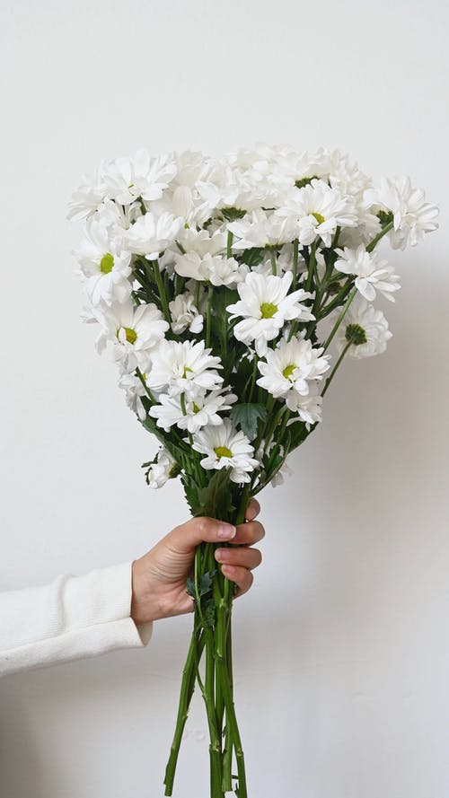 有关人, 垂直视频, 手指的免费素材视频