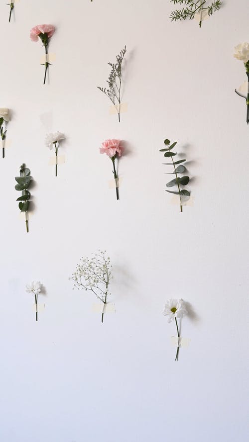 有关垂直视频, 录音, 植物的免费素材视频