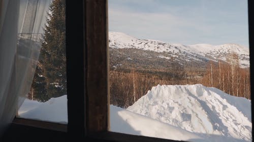 有关下雪的, 优美的风景, 冬季的免费素材视频