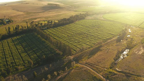 有关农业用地, 地貌, 太阳眩光的免费素材视频