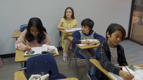 有关不允许欺凌, 不再欺负, 不欺负的免费素材视频