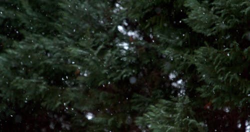 有关下落, 下雪的, 假日的免费素材视频