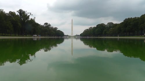 有关天空, 广角拍摄, 树木的免费素材视频