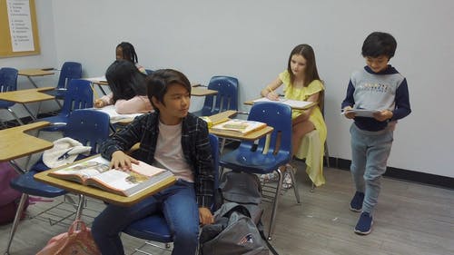 有关不允许欺凌, 不再欺负, 不欺负的免费素材视频