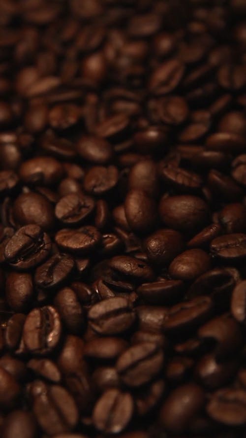 有关咖啡, 咖啡豆, 垂直视频的免费素材视频