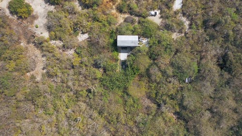 有关人, 假期, 出门的免费素材视频