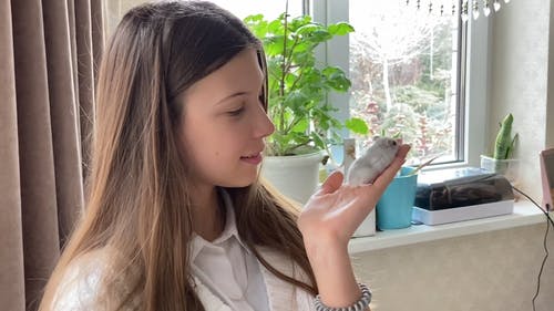 有关侧面图, 在家, 女孩的免费素材视频