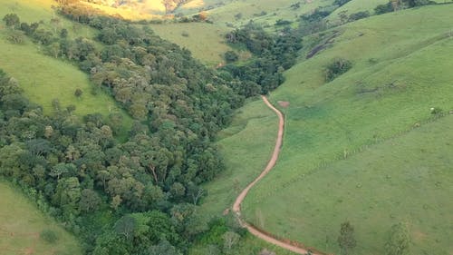 有关天性, 户外, 日光的免费素材视频