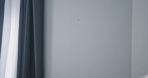 有关内部, 图片, 多样化的免费素材视频